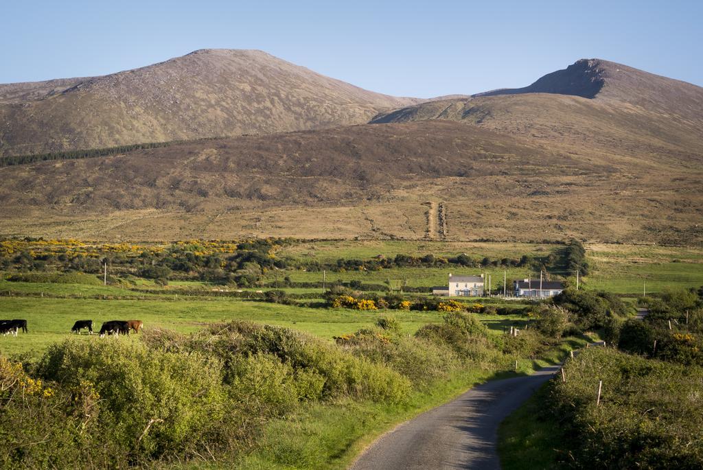 Fort Farmhouse B&B Castlegregory Kültér fotó